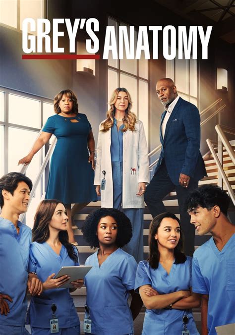 Season 19 (Grey's Anatomy).